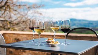 Sorbo de vino
