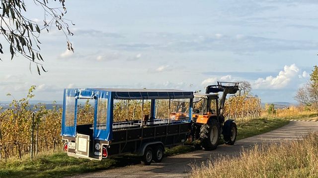 Vin et conduite chez Mann Horror Wines