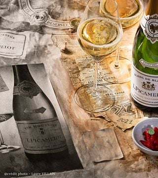 Burgundy Wine Immersion at Maison Louis Picamelot