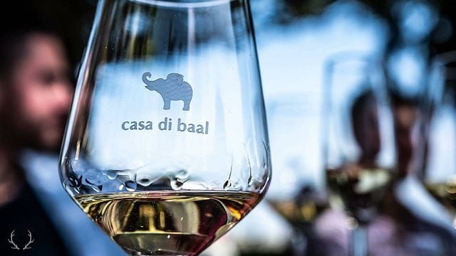 Degustazione di vini e tour presso la Casa Di Baal