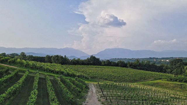 Degustação de Prosecco e Amarone: Obras-primas do vinho da região de Veneto 