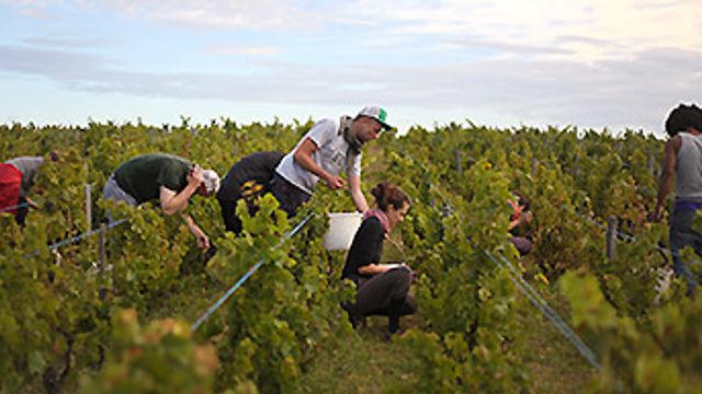 Domaine Christophe Pacalet