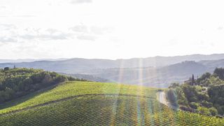 Confronto tra diversi Terroir del Chianti Classico | Rocca di Castagnoli