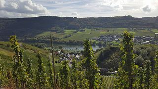 Weingut Jakoby-Mathy