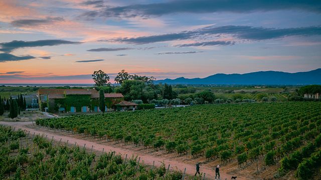 Languedoc-Roussillon Wine & Summer Pic Nic at Mas Baux