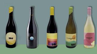 Visita completa a viñedos y catas en bodega.