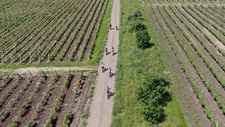 Dias de fuga de bicicleta e vinho em colinas verdes