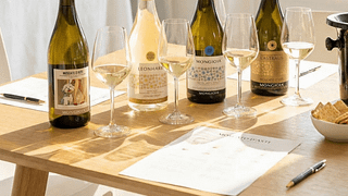 Descubra Langhe através de uma degustação de 5 vinhos e uma visita autêntica à adega.
