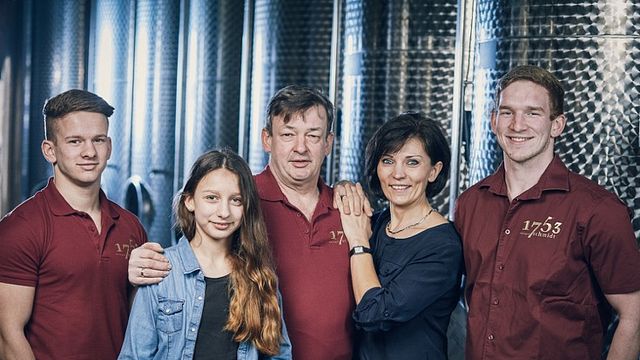 Wine Tasting and Tour at Weingut Schmidt