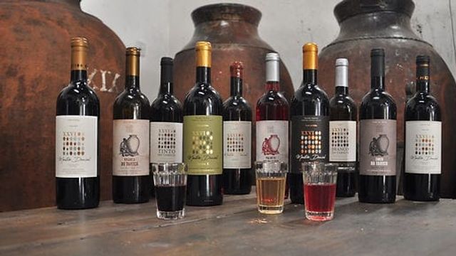 Talha Wine Tasting and Visit to Adega do Mestre Daniel - XXVI Talhas