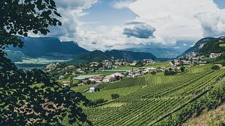 Südtirol: Weinbergsführung & Kellerverkostung bei Pfitscher
