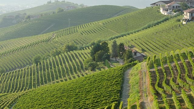  Excursão privada de bicicleta elétrica " Langhe del Barbaresco " - somente asfalto