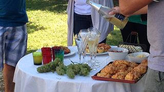 Cata de vinos y visita guiada a Vignoble Angst