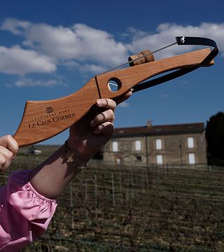 Immersion gastronomique : visite, dégustation et déjeuner au champagne