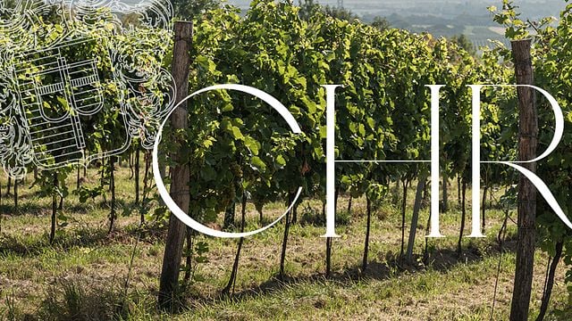 Degustação pequena com tour pela vinícola | Weingut & Heuriger Christ