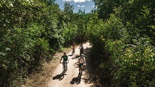 Tour in e-bike con Picnic