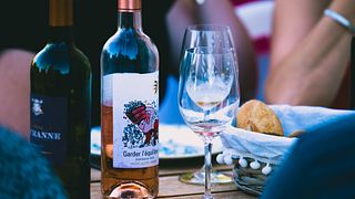 Degustação de vinhos e tour no Château de Cranne
