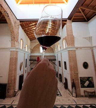 Experience Our Vineyard and Wine Tasting