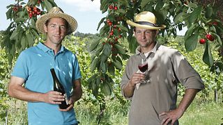 Cata de vinos y visita guiada al Domaine du Mortier.