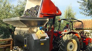 Wine Tasting and Tour at Poggio al Bosco