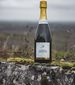 Degustazione di champagne, pasto e tour allo Champagne Sanger