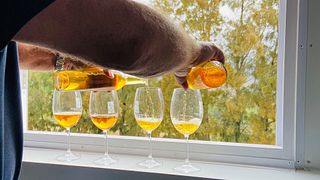 Cape South Coast: Elgin Estate Wine & Scenic Tasting