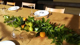 Sicily Organic Wine & Olive Grove Tasting Tour