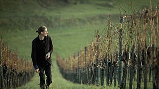 Weingut MUSTER.gamlitz