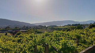 Excursão privada de dia inteiro com comida e vinho premium na Galícia saindo de Vigo