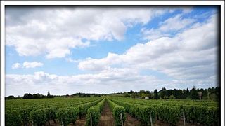 Experiencias de cata de vinos en Earl Domaine Nicolas Brunet