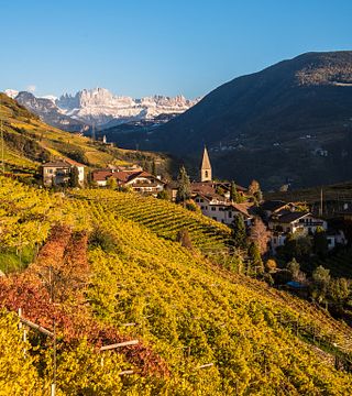 Wine Tasting and Tour at Kellerei Bozen