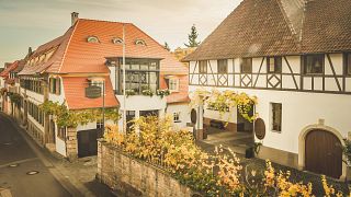 Weingut Georg Naegele