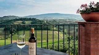 Cata de vinos y visita guiada a La Roccaia