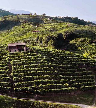 Prova de Vinhos e Tour no Nani Rizzi Az.Agr. Di Spagnol Denis