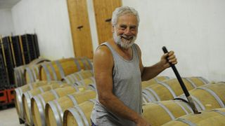 Dégustation de vins et visite à la Cantina Gozzi