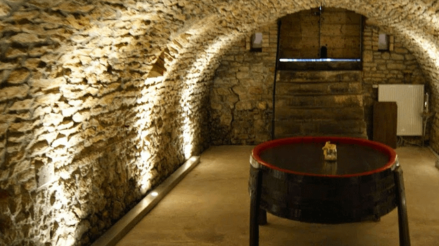 Dégustation de vins et visite au Bioweingut Manuel Engelhard