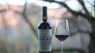 Racha-Lechkhumi Wine & Cellar Journey at Tchrebalo