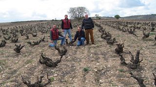 Bodegas Epifanio Rivera/Erial