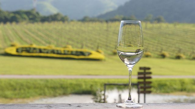 Cata de vinos y visita guiada en la bodega PB Valley Khao Yai