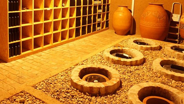 Lower Silesia Wine & Vineyard Tour at Winnica De