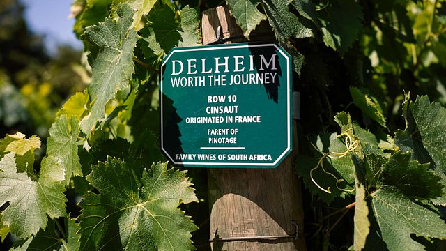 Delheim Winery