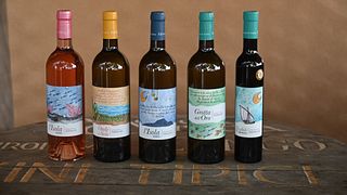 Visita para cata de vinos en Agriturismo Hibiscus