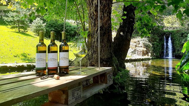Degustazione di vini con biscotti