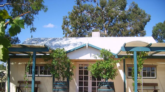 Organic Wine Journey: Western Australia's Swan Valley