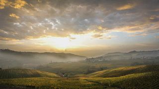 Matteo Soria Winery