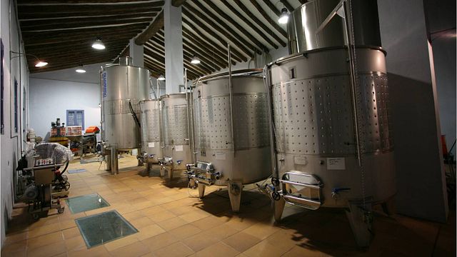 Experiencia para disfrutar y entender los vinos del sur del Montsant