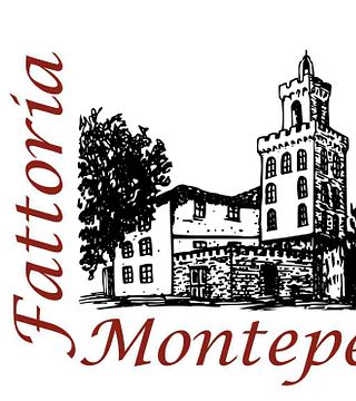 Fattoria Montepescini Winery