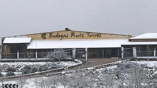 Visite et dégustation de vins aux Bodegas Ruiz Torres