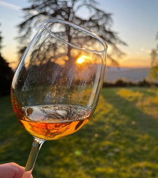 Tour dell'azienda vinicola con cena a degustazione alla Fattoria Lavacchio
