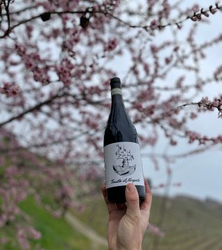 Tenuta il Nespolo: A Gem in Piedmont
